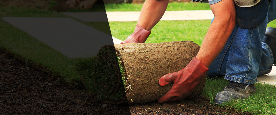 Northern Cambria Landscapers